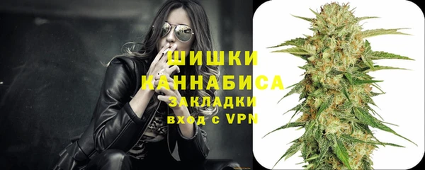 стаф Приозерск