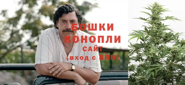стаф Приозерск